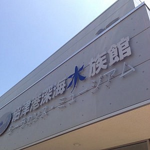 建物